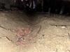 Crawl Space Encapsulation & Mold Remediation in Irving, TX - Photo 3
