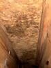 Crawl Space Encapsulation & Mold Remediation in Irving, TX - Photo 9