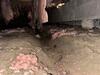 Crawl Space Encapsulation & Mold Remediation in Irving, TX - Photo 2