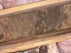 Crawl Space Encapsulation & Mold Remediation in Irving, TX - Photo 4
