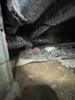 Crawl Space Repair in Fairview, TN - Photo 8