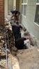 Local crews, local homes. Here's our foundation repair team working on a settling foundation. - Photo 1