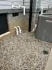Crawl Space Encapsulation in Nashville, TN - Photo 4