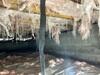 Crawl Space Encapsulation in  Nashville, TN - Photo 5