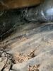 Crawl Space Repair in Gallatin, TN - Photo 6