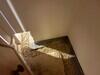 Basement Waterproofing Company in Hamersville, OH - Photo 3