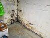 Wet Basement Water and Humidity Issues Problems Resolved in Friesland, WI - Photo 1
