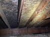 Garage Attic Mold In Pinckney MI - Photo 1