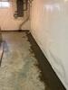 Creating a Dry Basement in Cottonwood, MN - Photo 1