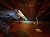 Removing Mold from an Attic in Windsor Locks, CT - Photo 1