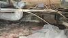Crawl Space Encapsulation & Dehumidifier in Dallas, TX - Photo 2