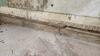Basement Waterproofing in Fort Worth, TX - Photo 1