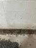 Basement Waterproofing in Clarksville, TN - Photo 7