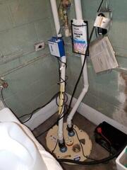 Testimonial Photo by Lisa J.