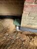 Basement Waterproofing in Gallatin, TN - Photo 4