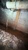 Moldy Basement Upgrade in Cottageville, WV - Photo 1