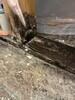 Mold Remediation in McKinney, TX - Photo 4