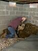 Crawl Space Repair in Nashville, TN - Photo 9