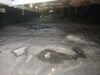 Crawl Space Repair in Nashville, TN - Photo 6