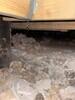 Crawl Space Encapsulation & Insulation in Weatheford, TX - Photo 2