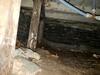 Damp Musty Crawlspace Receives Makeover with Contractor in Suamico, WI - Photo 2