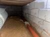Crawl Space Repair in Bowling Green, KY - Photo 8
