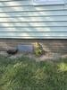 Crawl Space Sealed in Euclid, OH - Photo 1