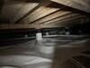 Crawl Space Encapsulation & Dehumidifier in Dallas, TX - Photo 1