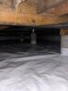 Mold Remediation for Crawlspace in Dallas, TX - Photo 4