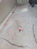 Concrete Garage Floor Lifted and Leveled with PolyLevel Injection Foam in Two Rivers, WI - Photo 3