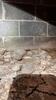 Rotting Basement Encapsulation in Glenville, WV - Photo 2