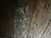 Mold Remediation in Dallas, TX - Photo 8