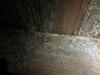Mold Remediation in Dallas, TX - Photo 7