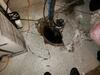 Sump Pump Replacement in Hortonville, WI - Photo 2