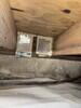 Crawl Space Encapsulation & Mold Remediation in Dallas, TX - Photo 4
