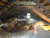Leaky Attic Causing Comfort and Energy Issues in Fair Haven, NJ - Photo 1