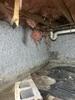 Crawl Space Repair in Joelton, TN - Photo 6
