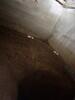 Crawl Space Encapsulation & Mold Remediation in Arlington, TX - Photo 4