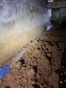 Crawl Space Encapsulation & Mold Remediation in Arlington, TX - Photo 1