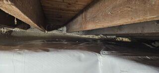 Testimonial Photo by Bruce H.