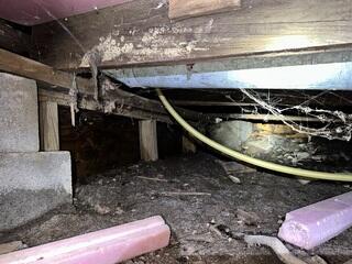 Testimonial Photo by Gerald P.