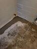 Basement Waterproofing with SumpPump, Battery Back-up & Drainage System in Saint Cloud, WI - Photo 3