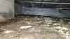 Crawl Space Encapsulation & Dehumidifier in Dallas, TX - Photo 3