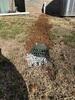 Crawl Space Repair in Rockfield, KY - Photo 3