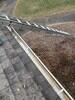 Heavily Clogged Gutters Cleaned - Photo 1
