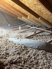 Testimonial Photo by Kim W.