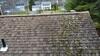 When a Roof Is Beyond Cleaning in Hamden, CT - Photo 2