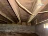 Crawl Space Repair in Campbellsville, KY - Photo 4