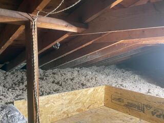 Testimonial Photo by Suzan M.