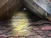 Whole Home Insulation Advised in Eastlake, OH - Photo 1